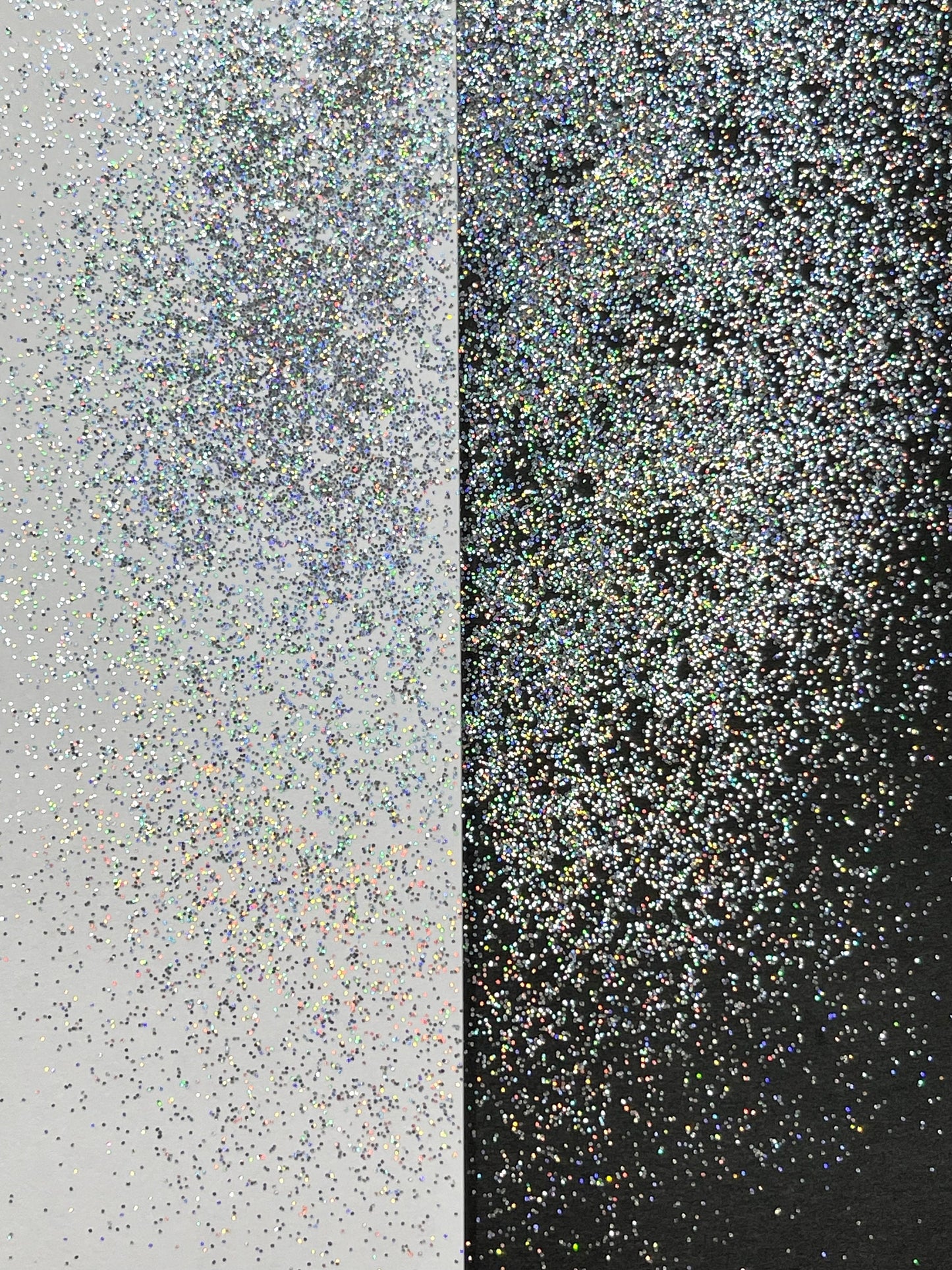 Astronaut Holo Fine Glitter